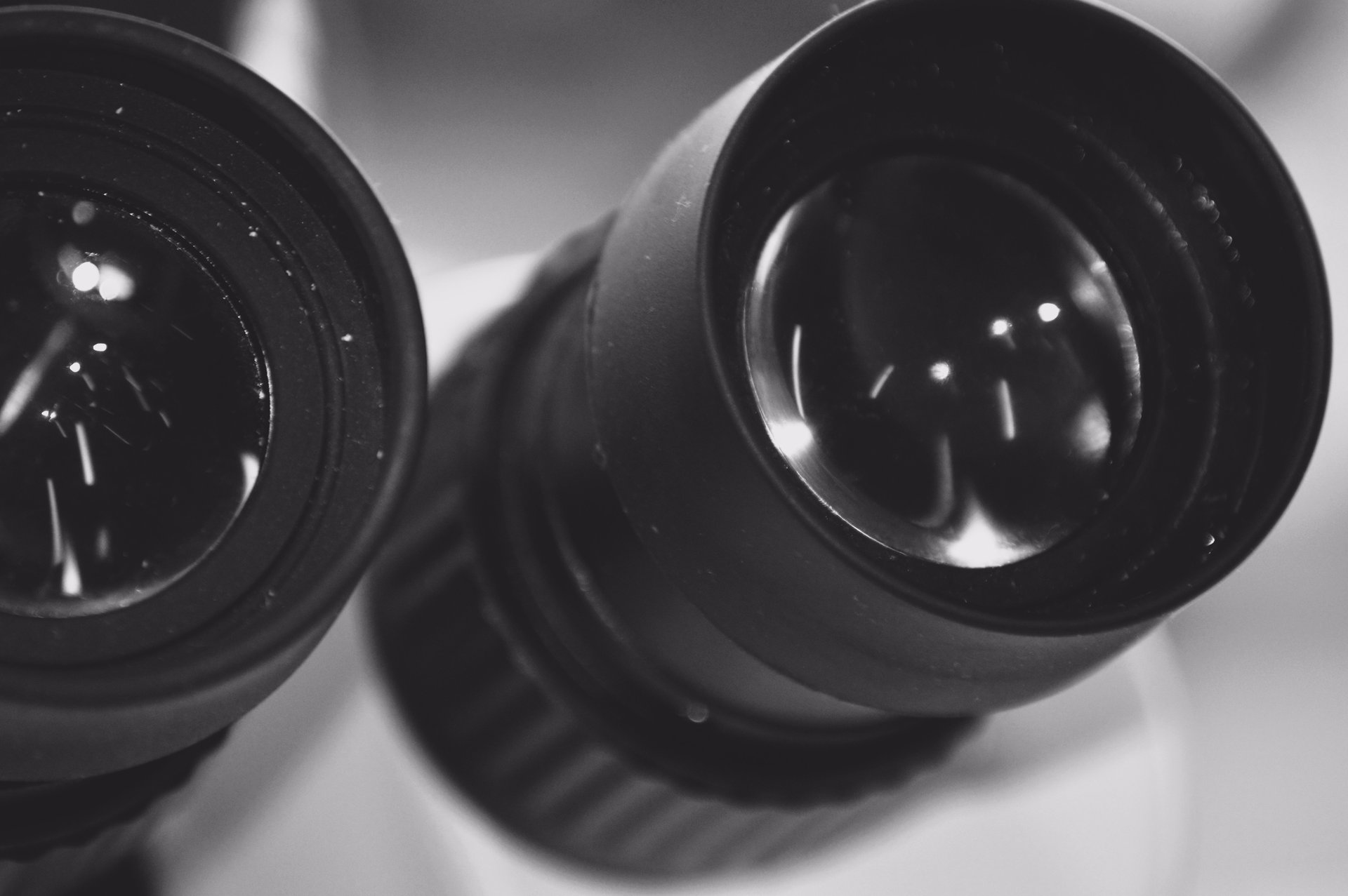 Close up of AmScope Microscope lenses for eyes
