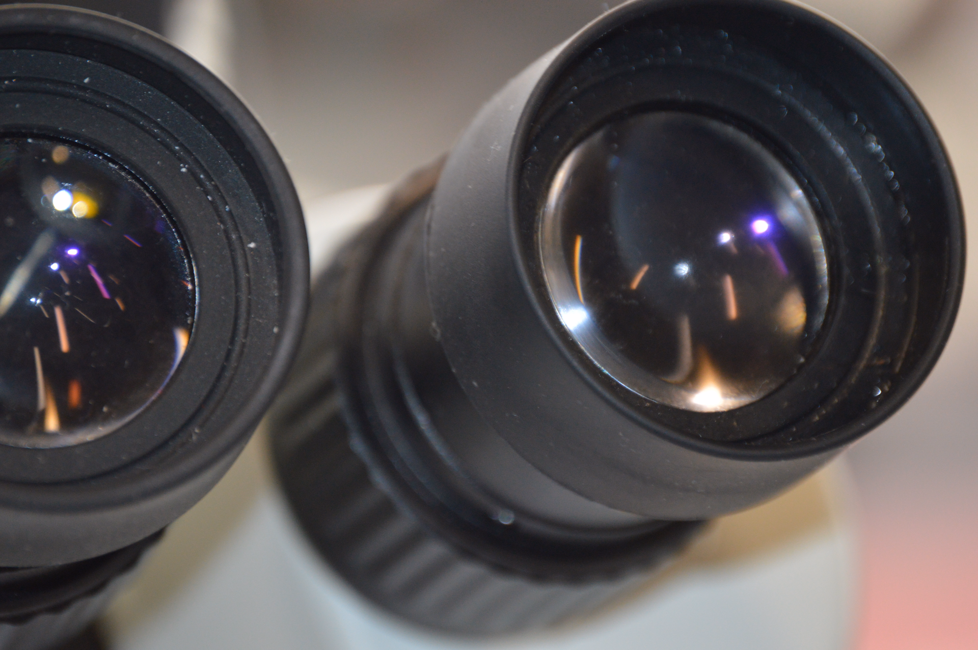 Close up of AmScope Microscope lenses for eyes